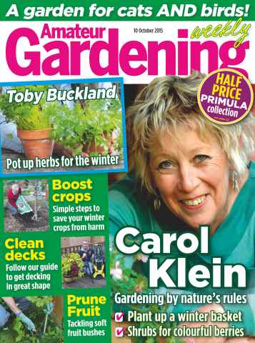 Amateur Gardening issue 10th October 2015