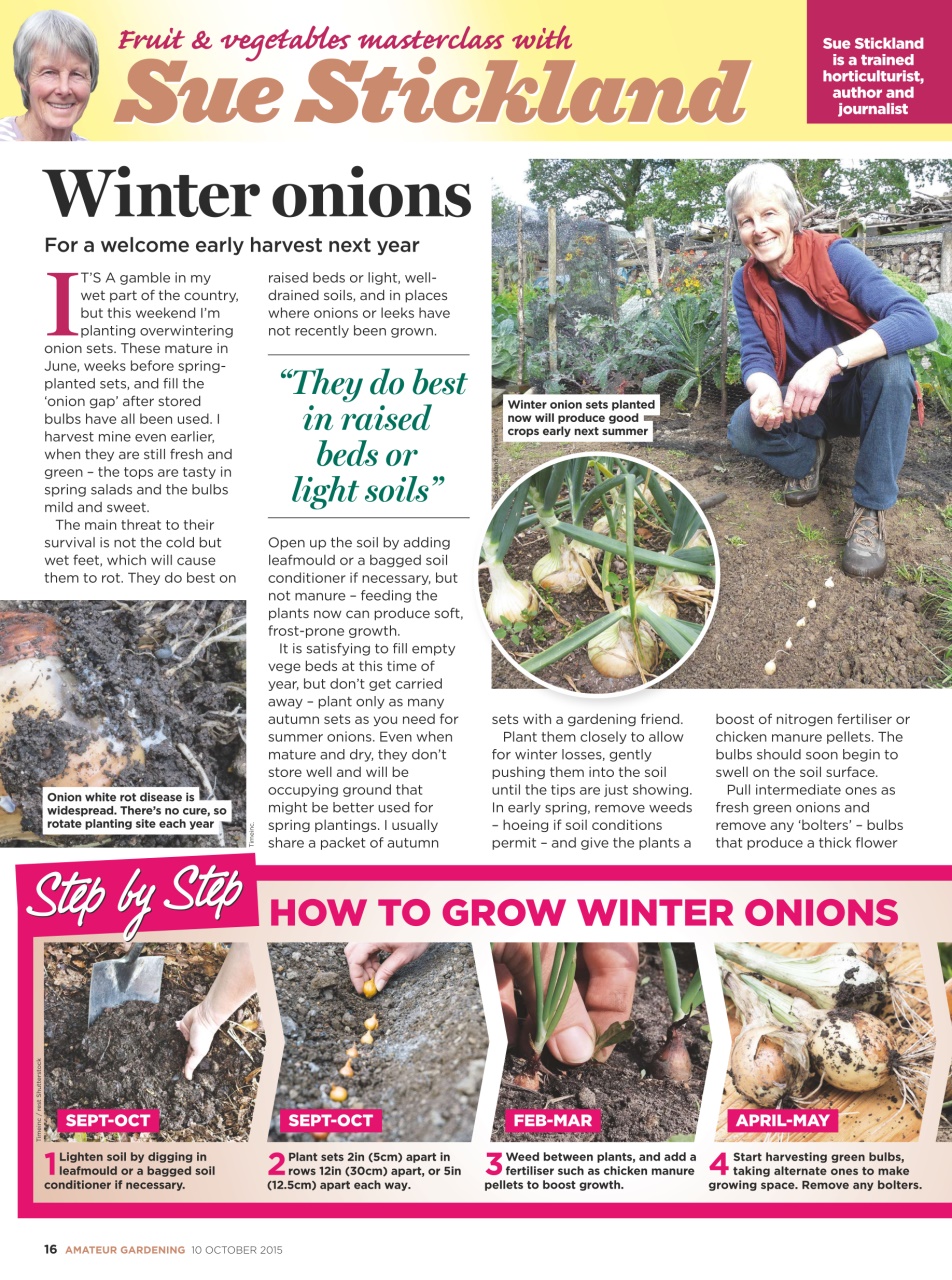 Amateur Gardening Preview Pages