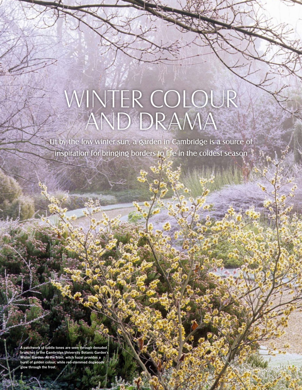 LandScape Preview Pages