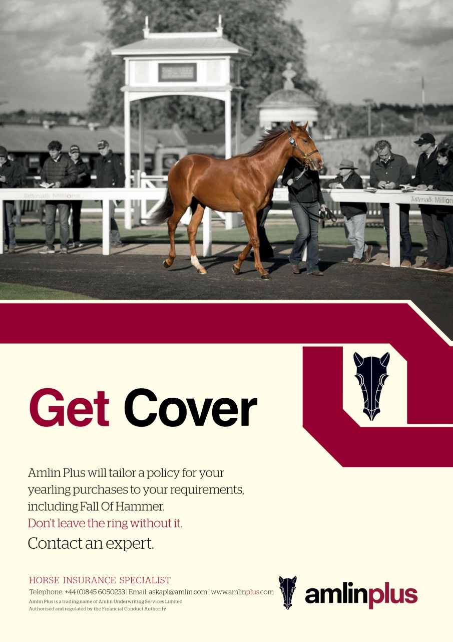 The Owner Breeder Preview Pages