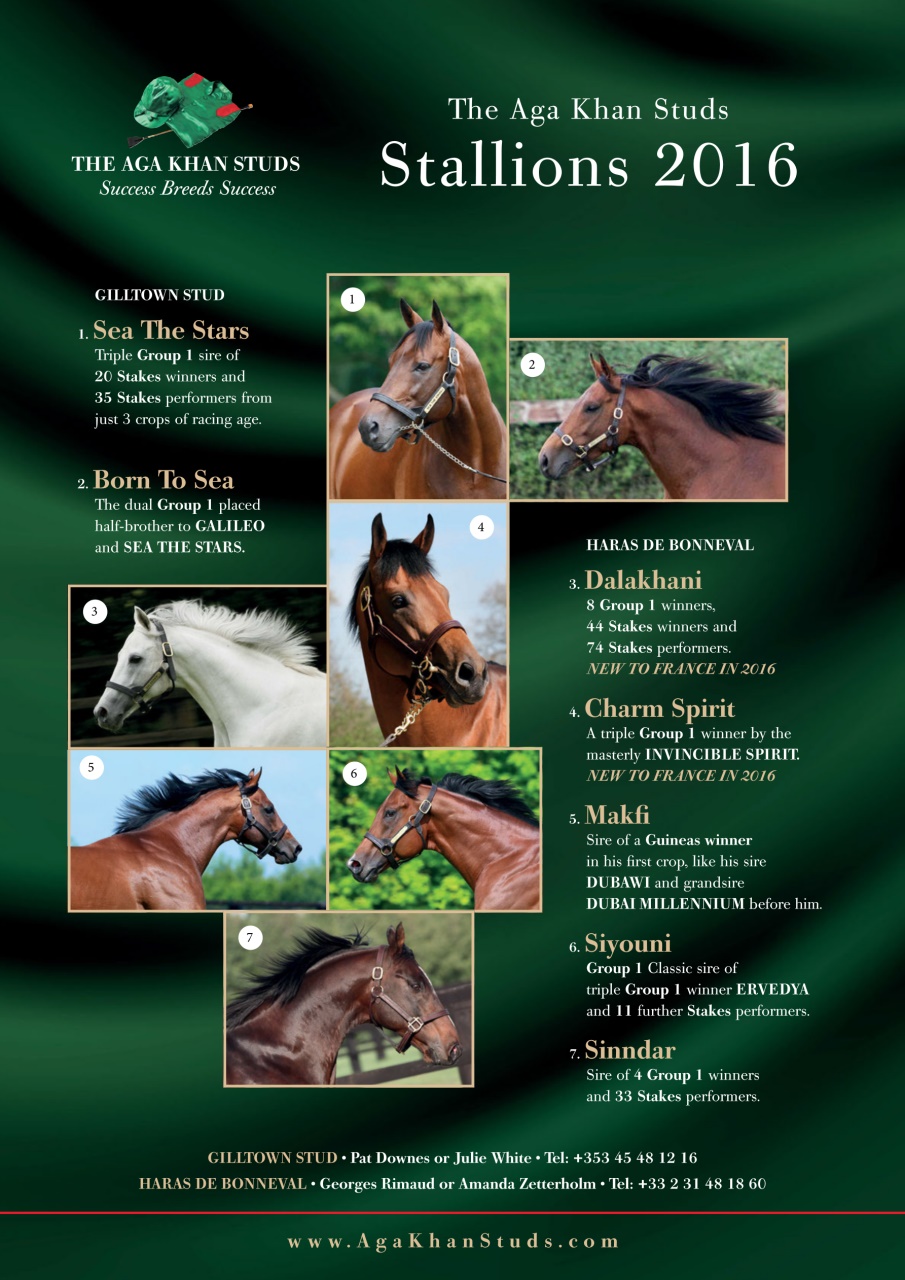 The Owner Breeder Preview Pages