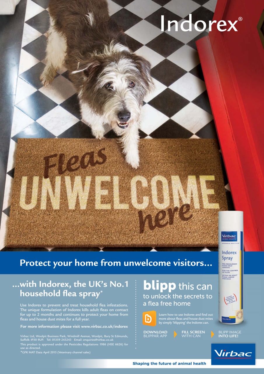 Your Dog Preview Pages