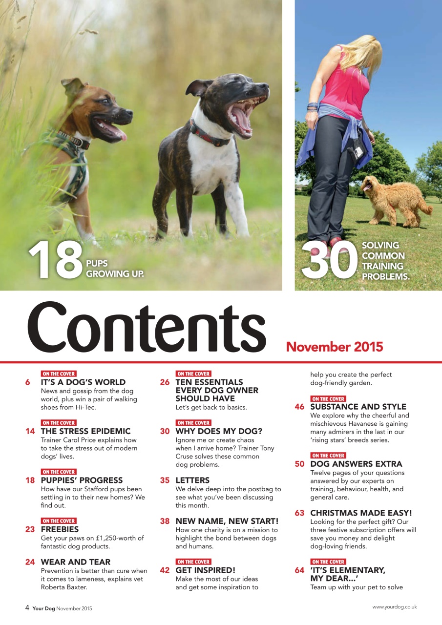 Your Dog Preview Pages