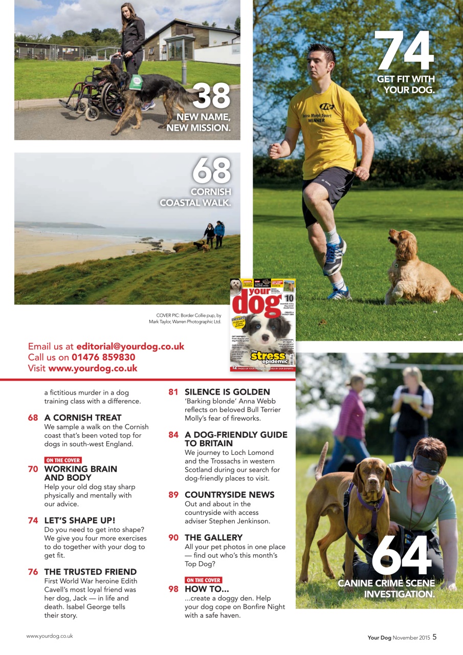 Your Dog Preview Pages