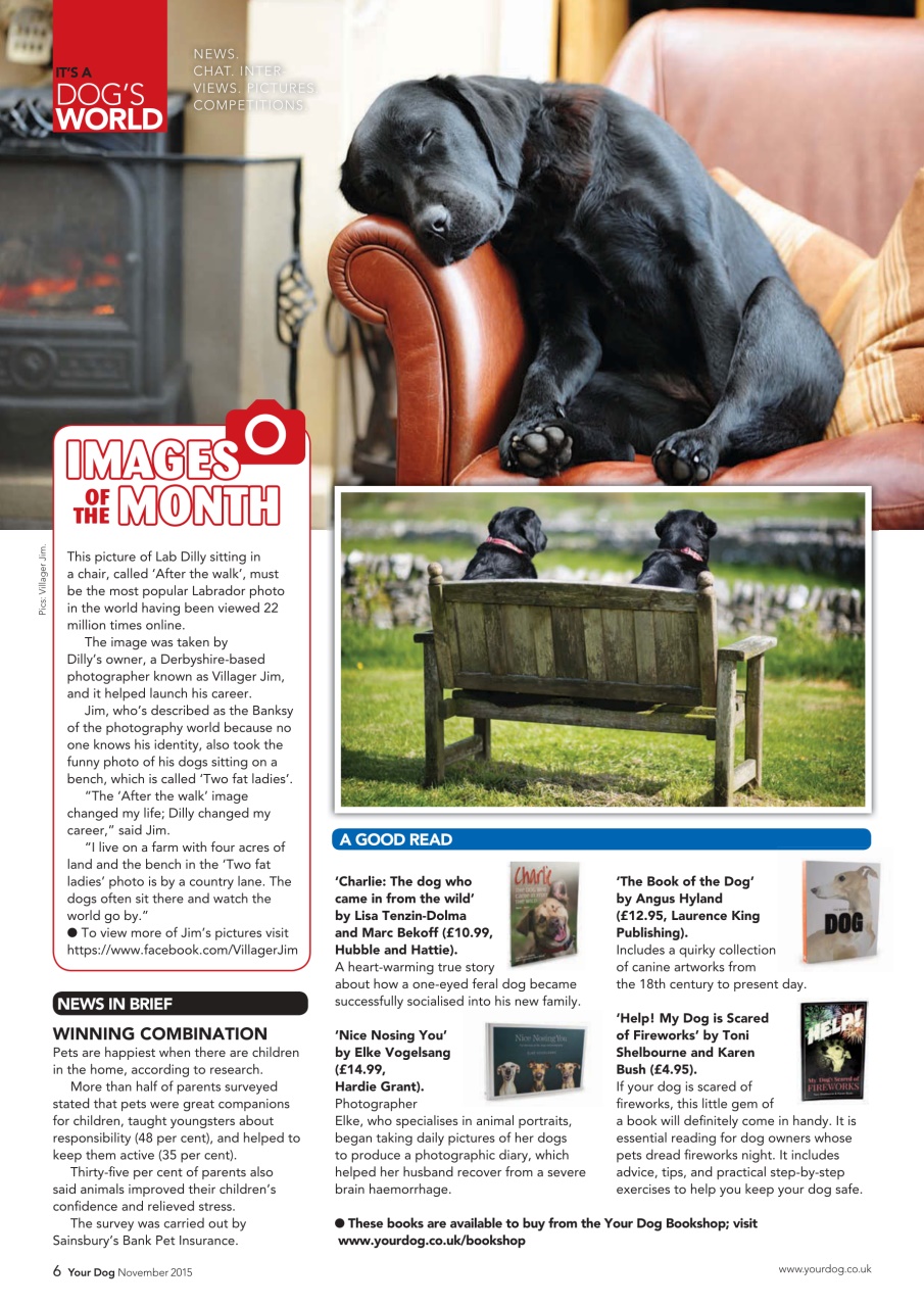 Your Dog Preview Pages