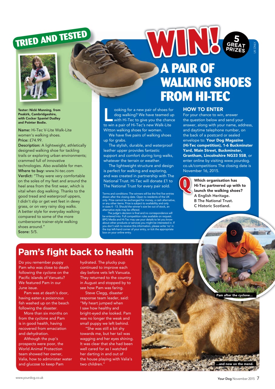 Your Dog Preview Pages