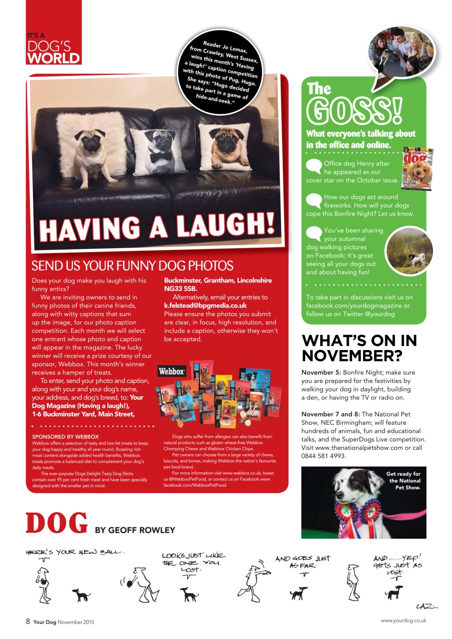 Your Dog Preview Pages