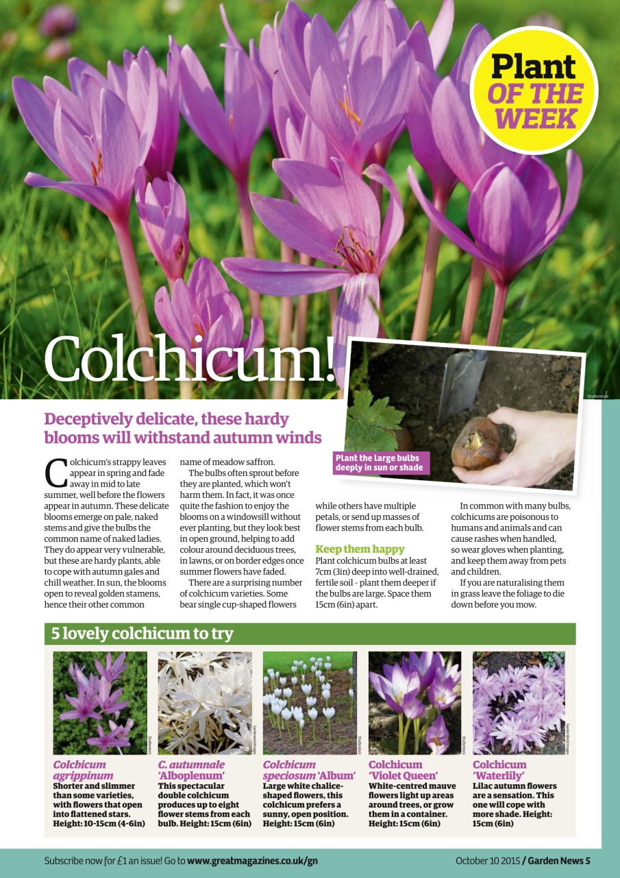 Garden News Preview Pages