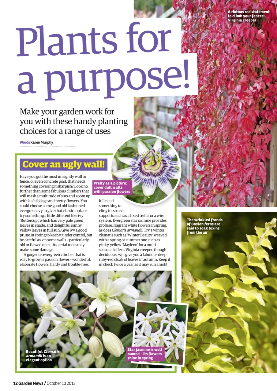 Garden News Preview Pages