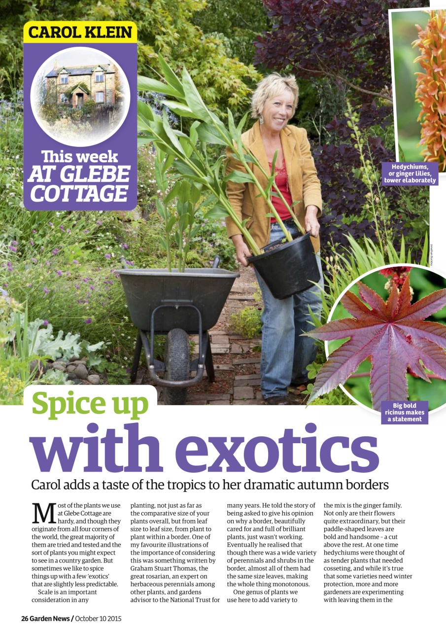 Garden News Preview Pages