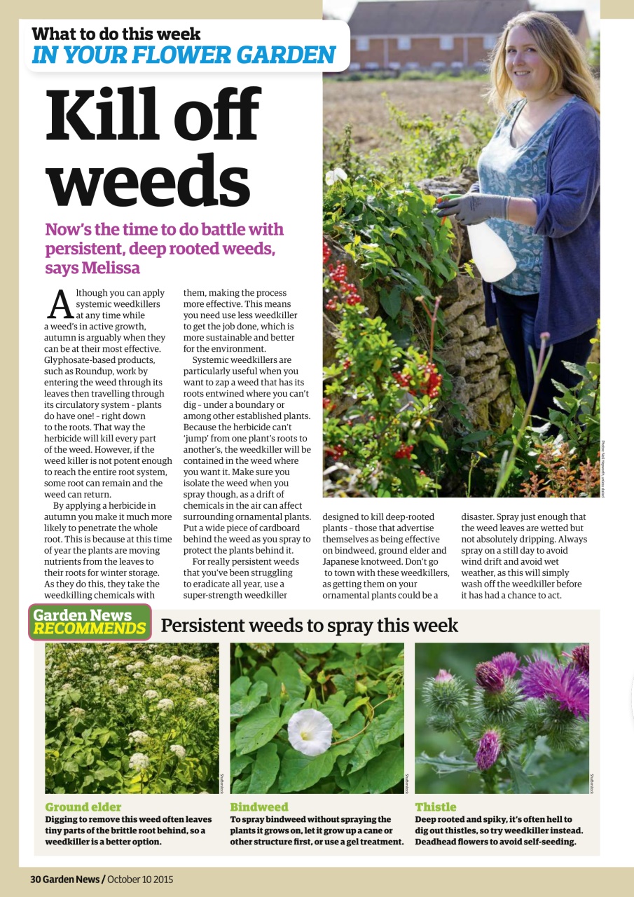 Garden News Preview Pages