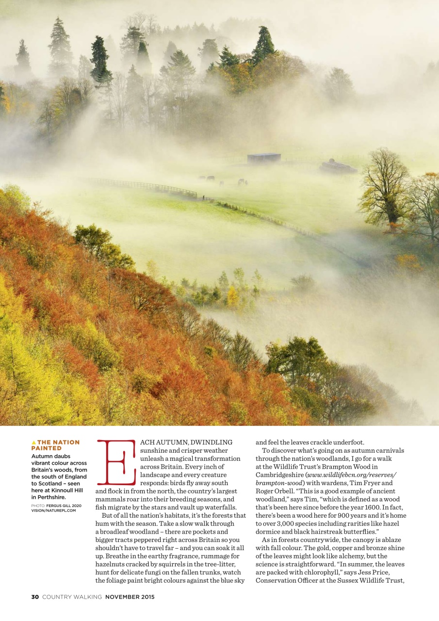 Country Walking Preview Pages