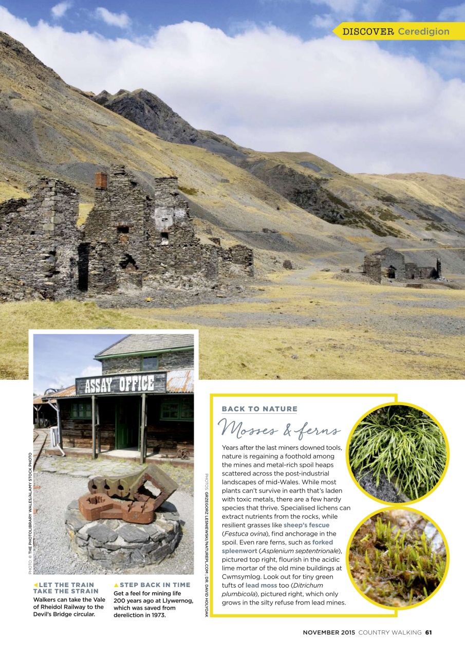 Country Walking Preview Pages