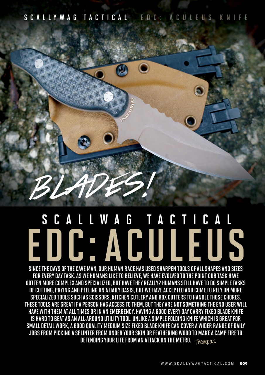 Raider Preview Pages