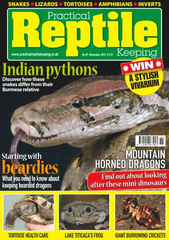 Practical Reptile Keeping issue No. 81 Indian Pythons