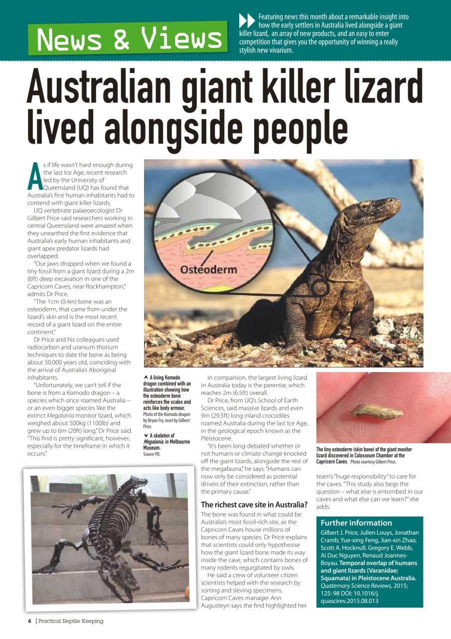 Practical Reptile Keeping Preview Pages