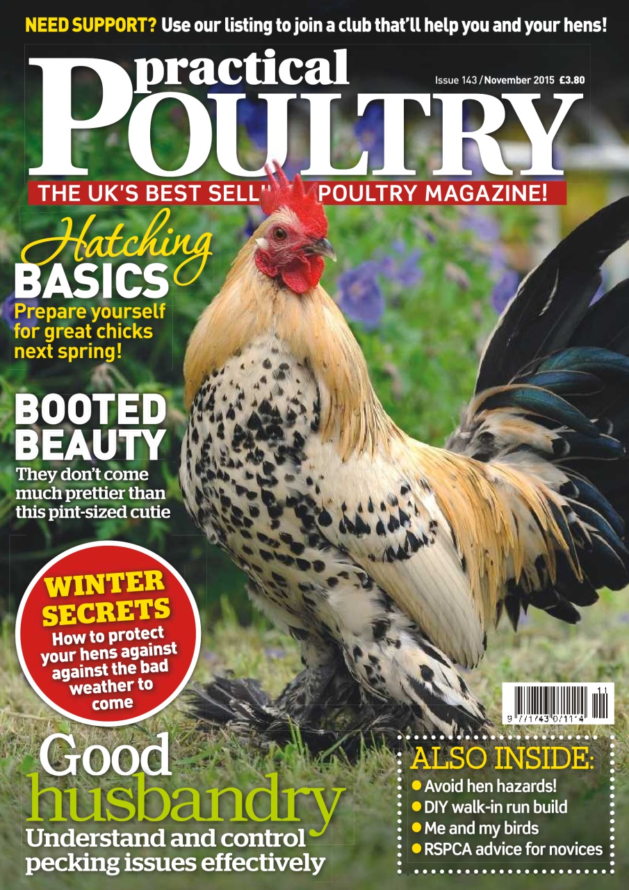 Practical Poultry Preview Pages