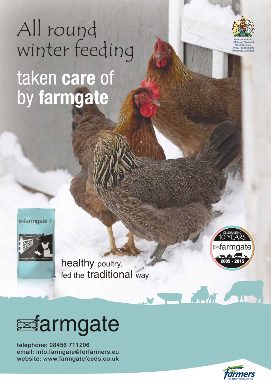 Practical Poultry Preview Pages