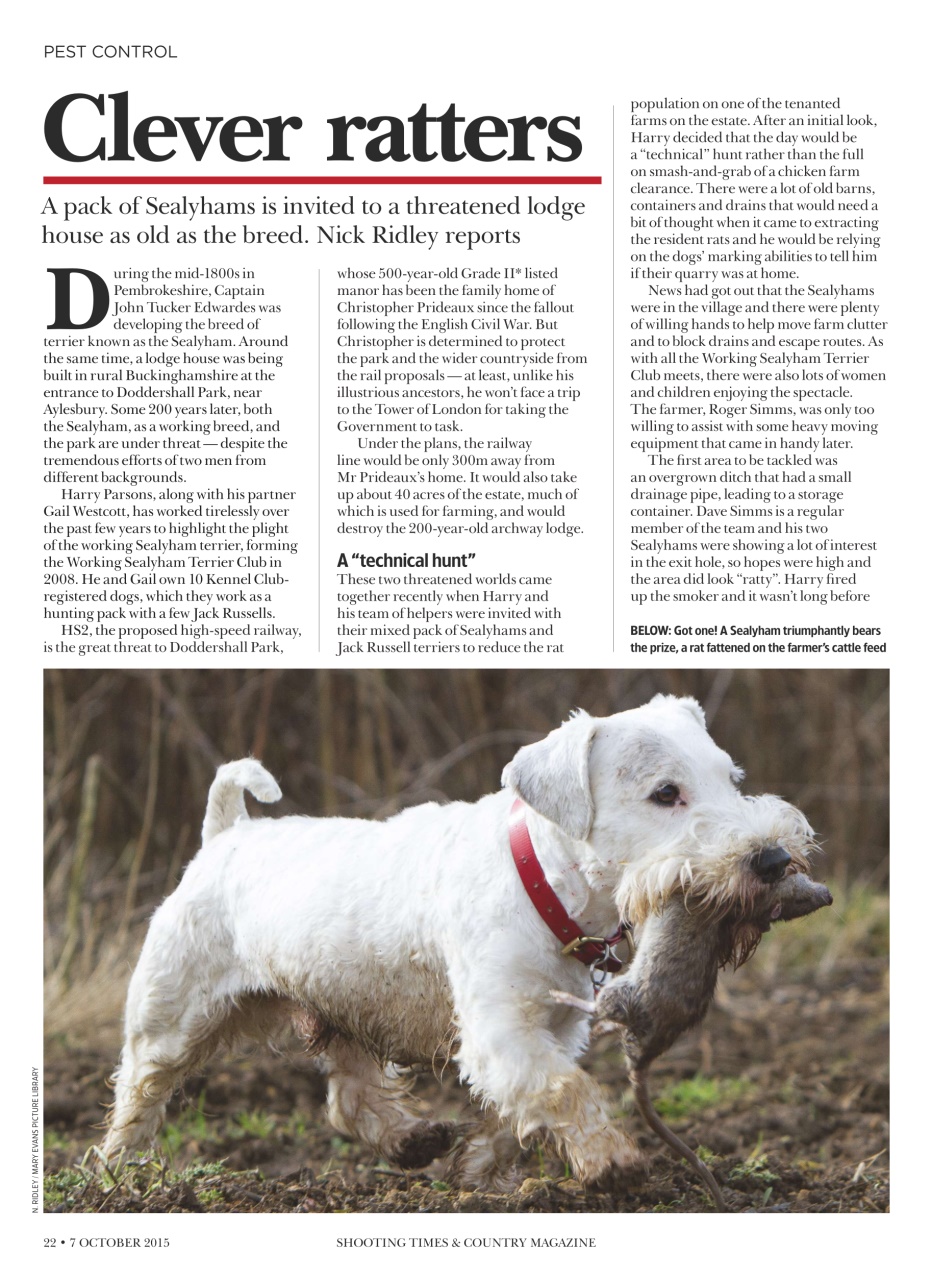 Shooting Times & Country Preview Pages