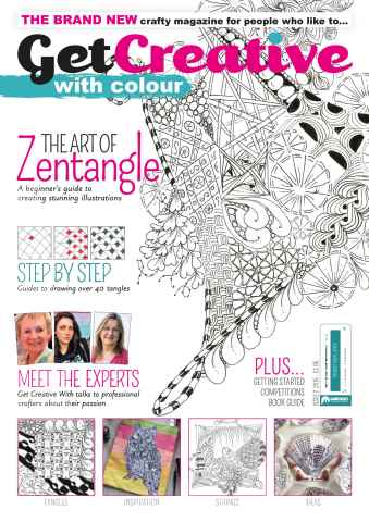 Issue 2 issue Issue 2