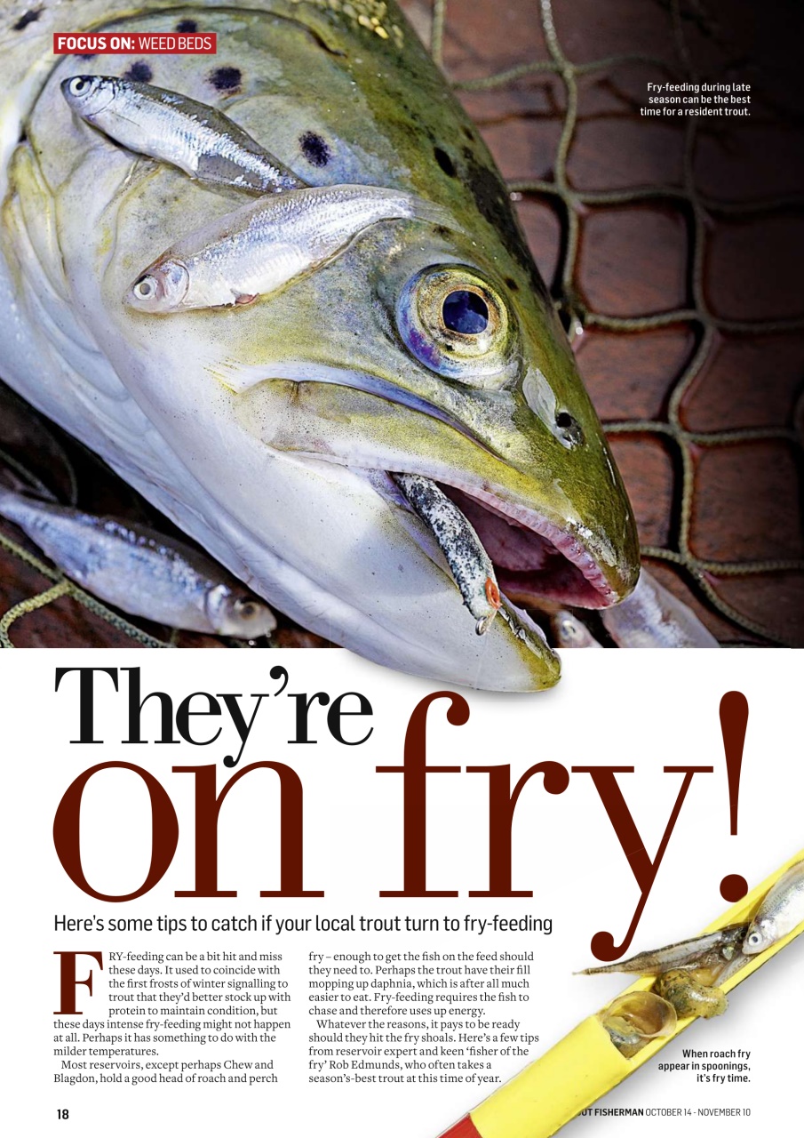 Trout Fisherman Preview Pages