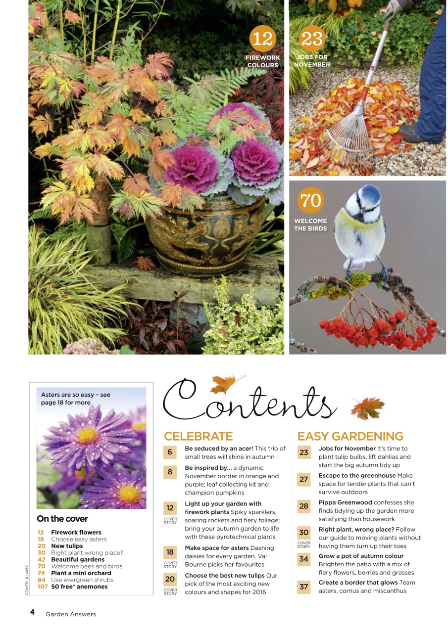 Garden Answers Preview Pages