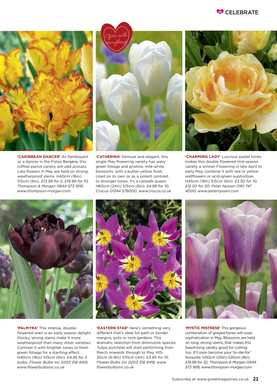 Garden Answers Preview Pages