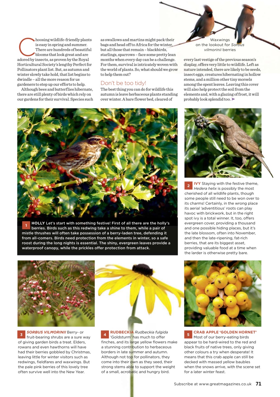 Garden Answers Preview Pages