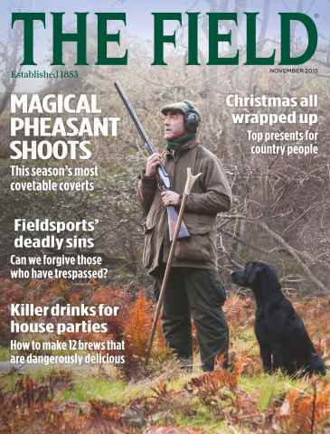 The Field issue November 2015