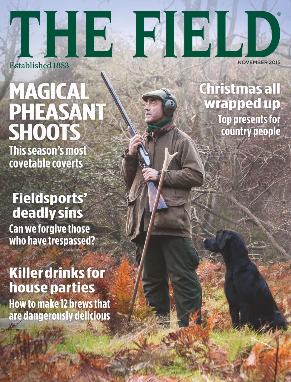 The Field Preview Pages