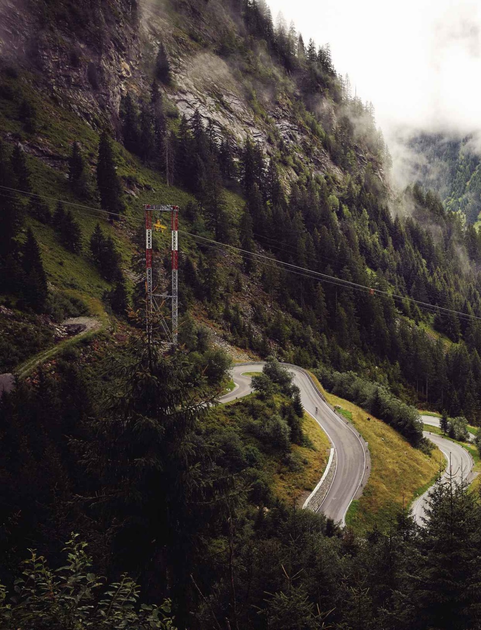 Cyclist Preview Pages