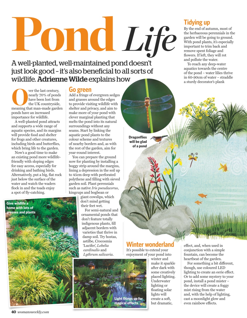 Woman's Weekly Preview Pages