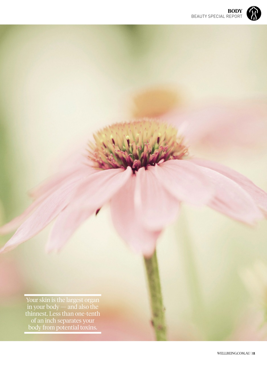 WellBeing Preview Pages