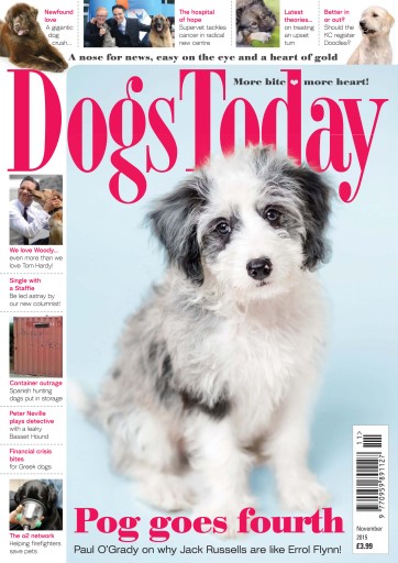 Dogs Today Magazine issue 