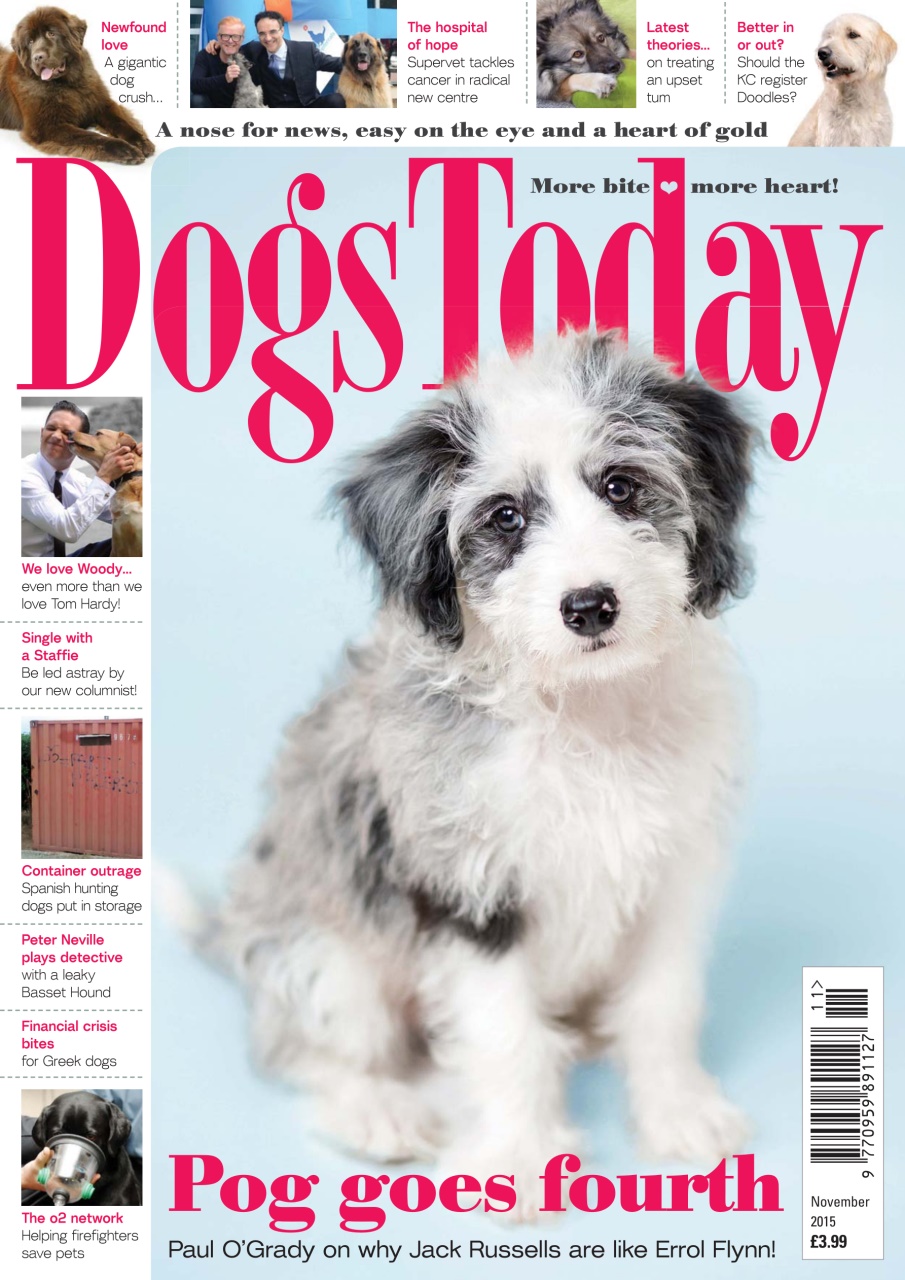 Dogs Today Magazine Preview Pages