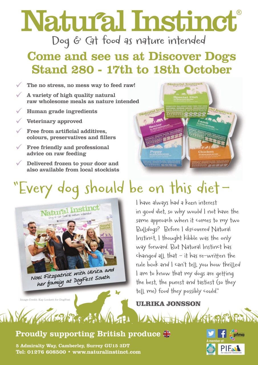 Dogs Today Magazine Preview Pages