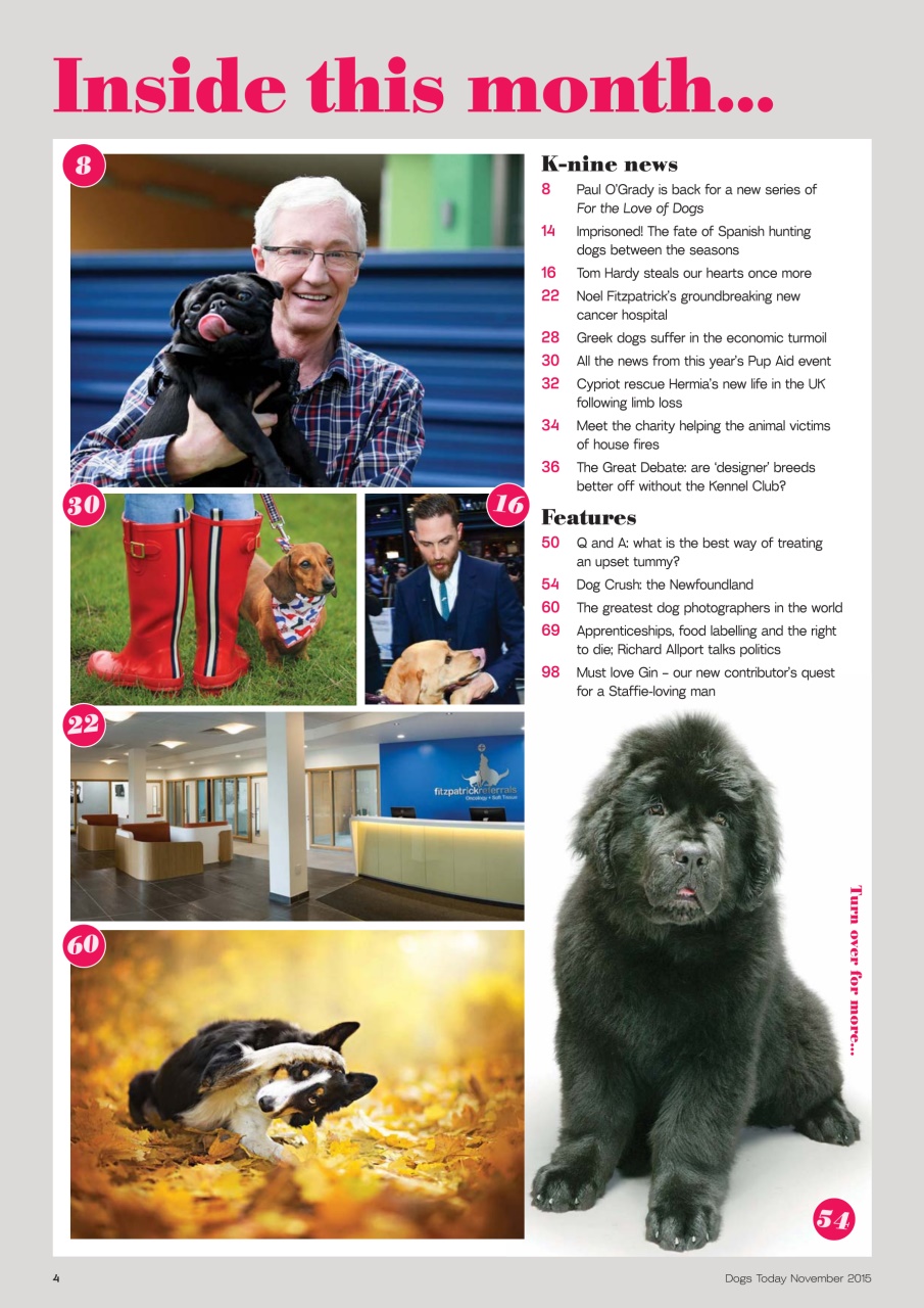 Dogs Today Magazine Preview Pages