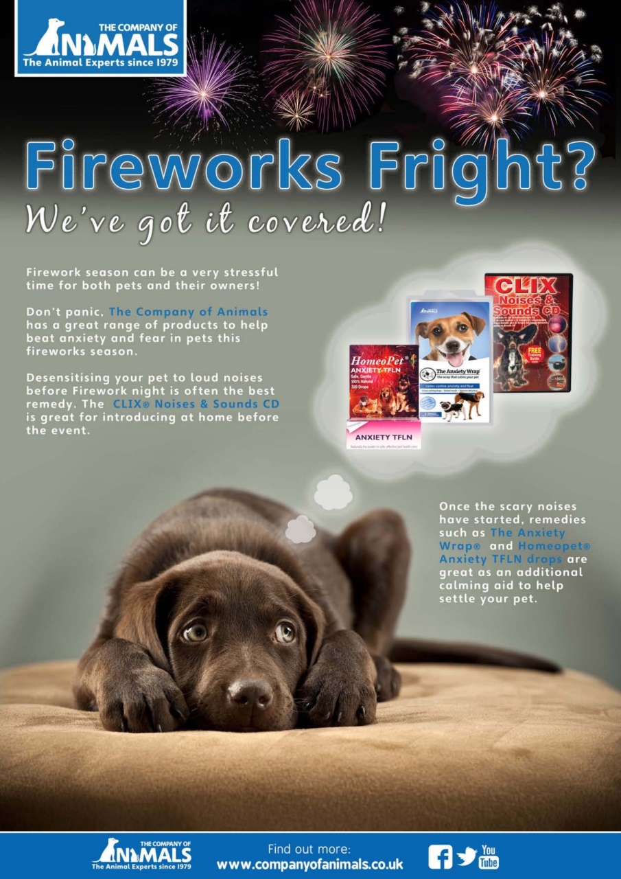 Dogs Today Magazine Preview Pages