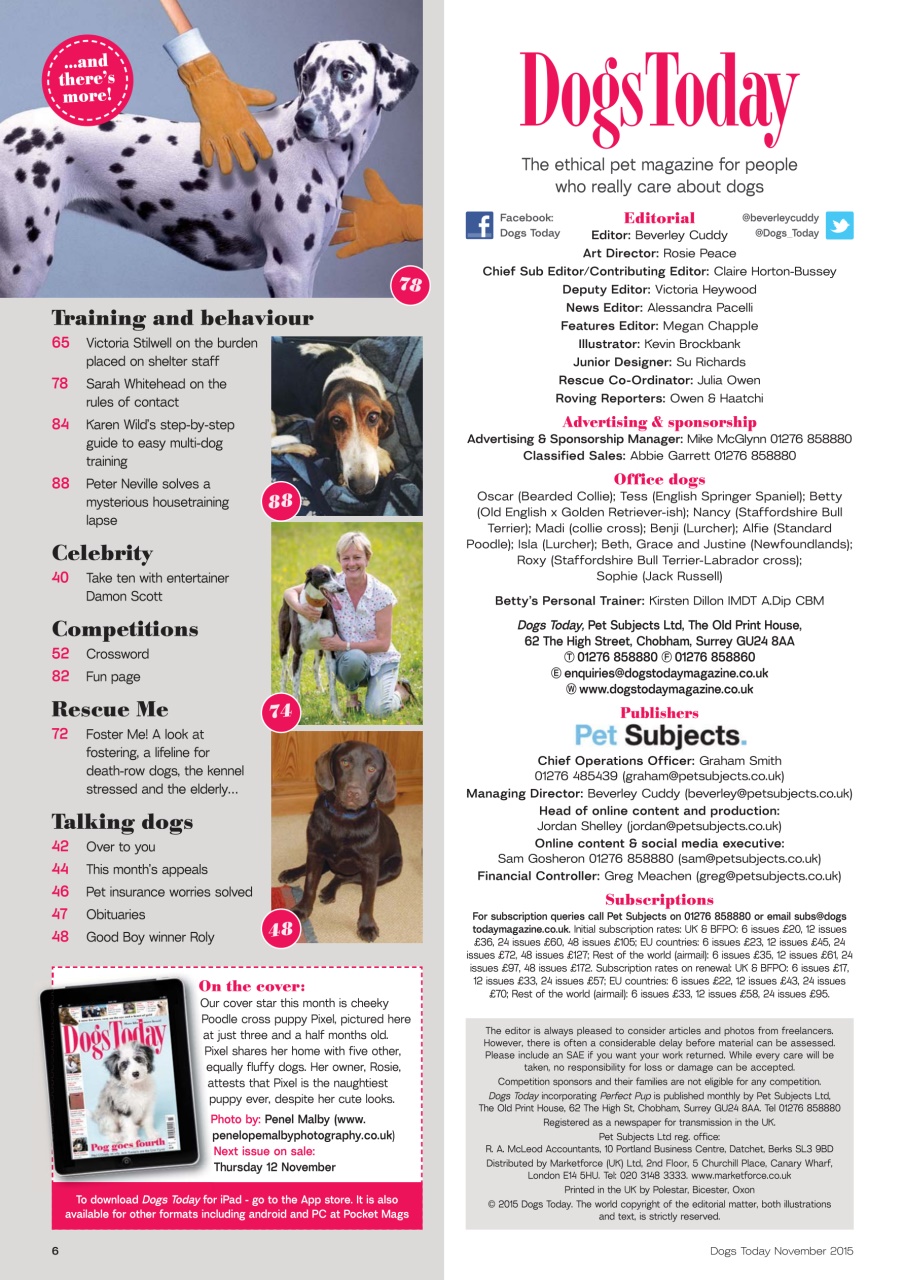 Dogs Today Magazine Preview Pages
