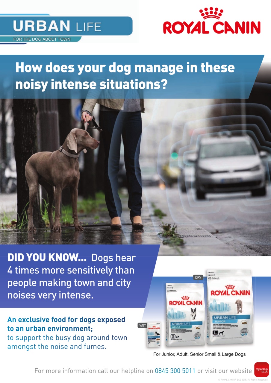 Dogs Today Magazine Preview Pages