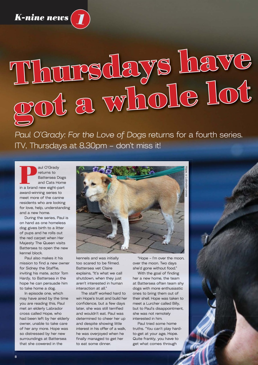 Dogs Today Magazine Preview Pages