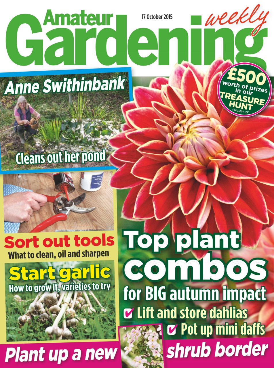 Amateur Gardening Preview Pages