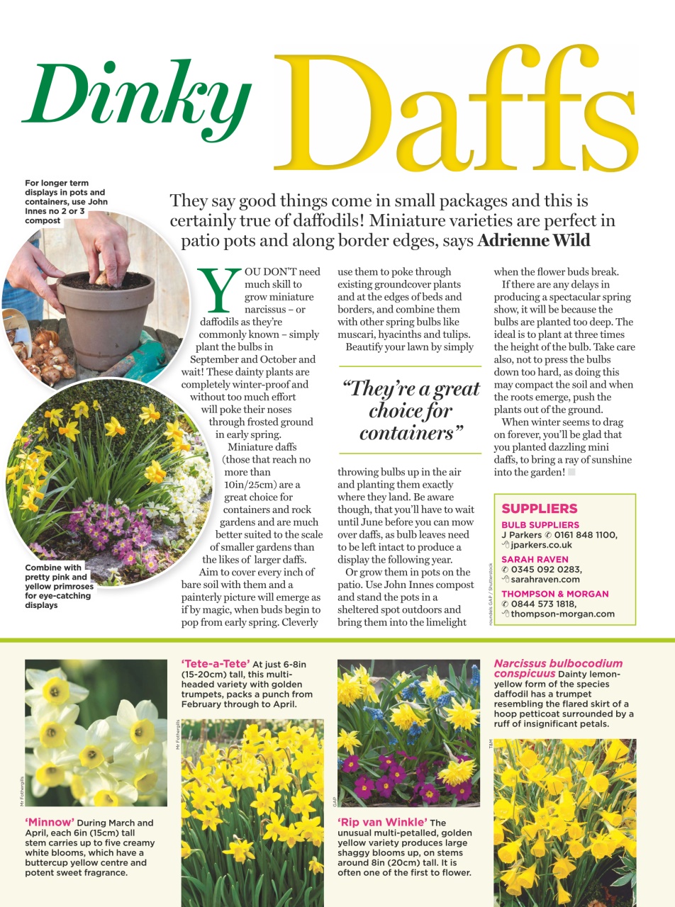 Amateur Gardening Preview Pages