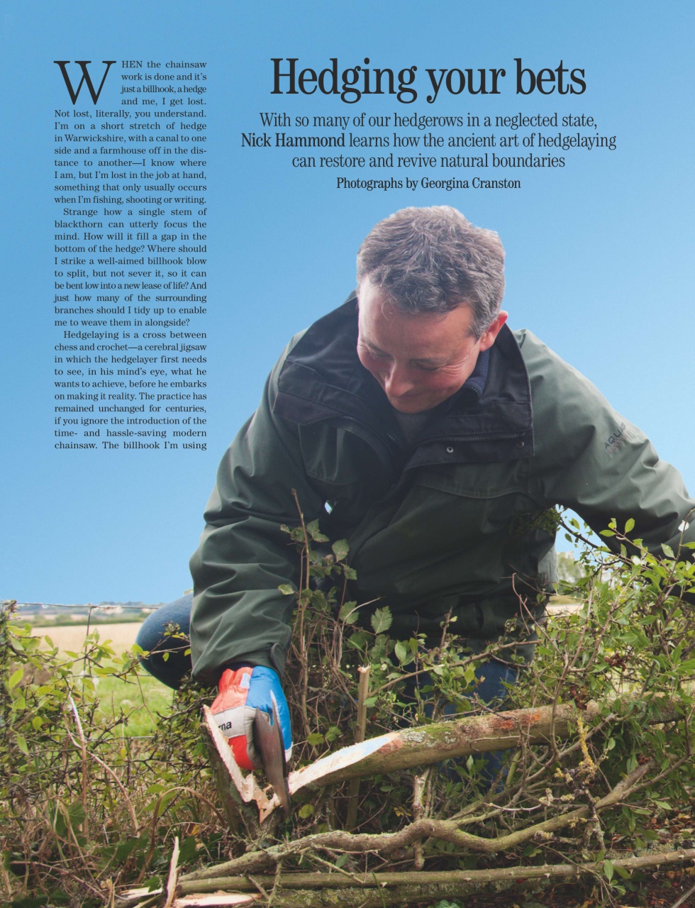 Country Life Preview Pages