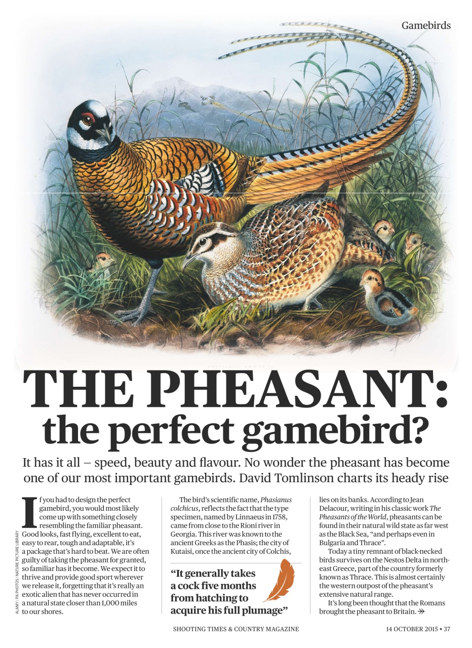 Shooting Times & Country Preview Pages