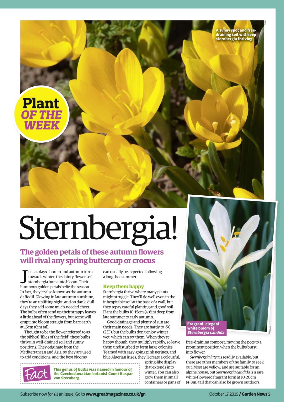 Garden News Preview Pages