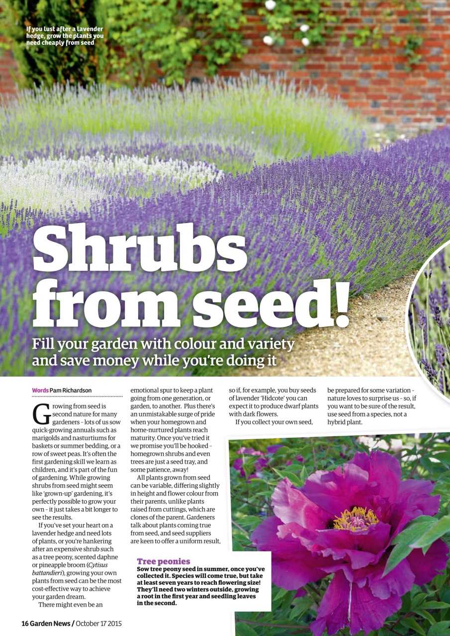 Garden News Preview Pages