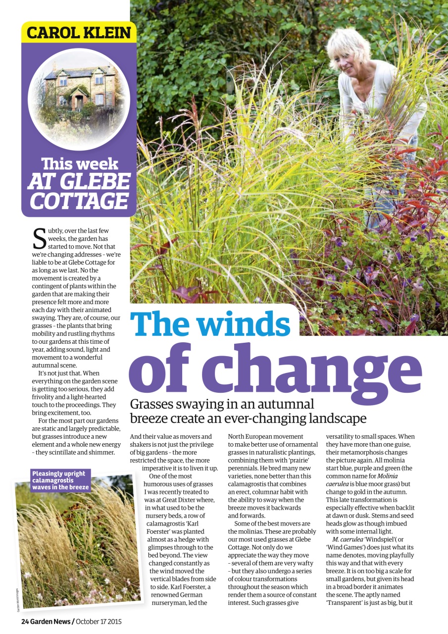 Garden News Preview Pages