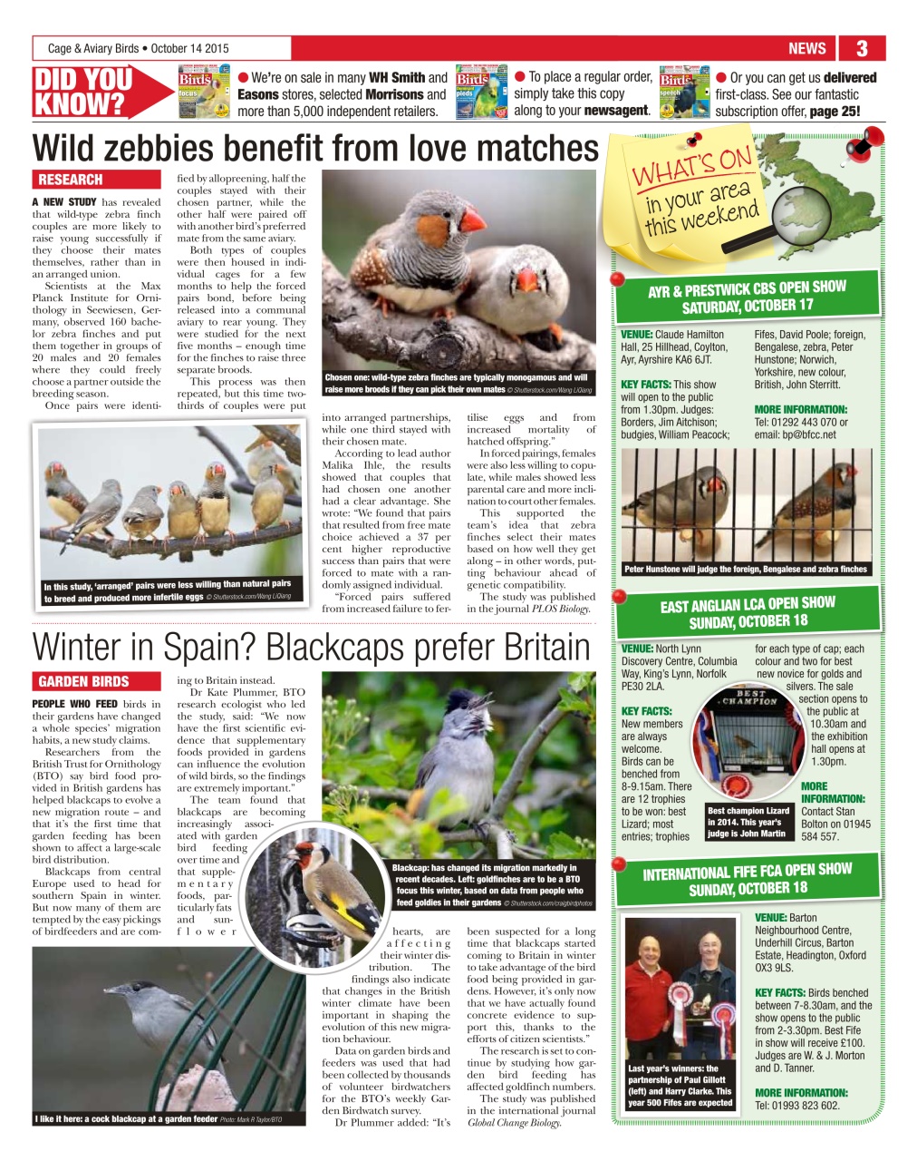 Cage & Aviary Birds Preview Pages