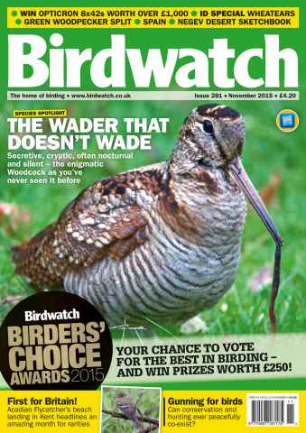 Birdwatch Magazine issue November 2015